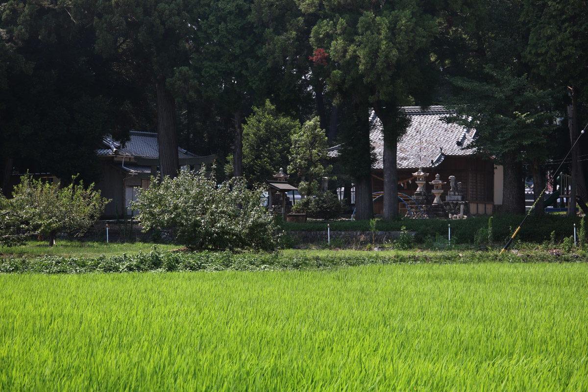平口八幡神社